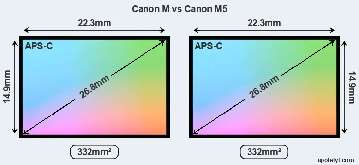 Canon M and Canon M5 sensor measures