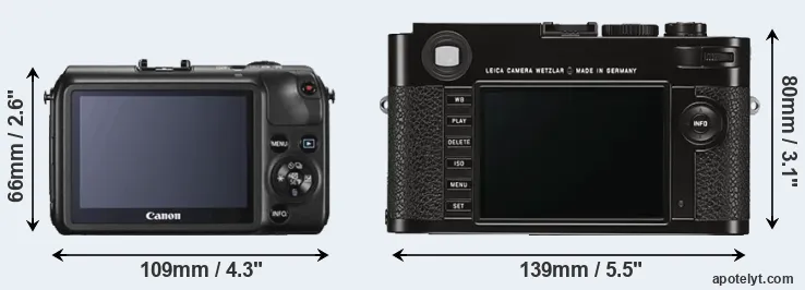 Comparison Canon M or M Typ 262 rear