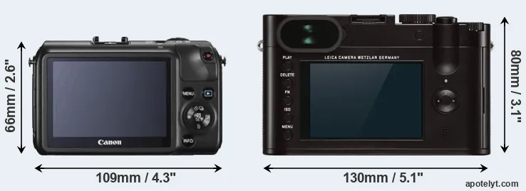 Comparison Canon M or Q Typ 116 rear