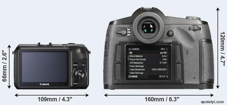 Comparison Canon M or S-E Typ 006 rear
