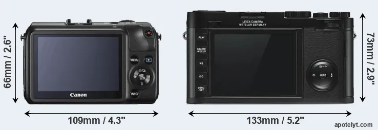 Comparison Canon M or X Typ 113 rear
