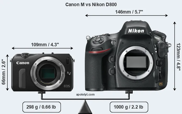 Size Canon M vs Nikon D800