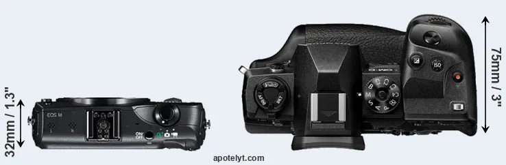 Compare Canon M versus E-M1X top