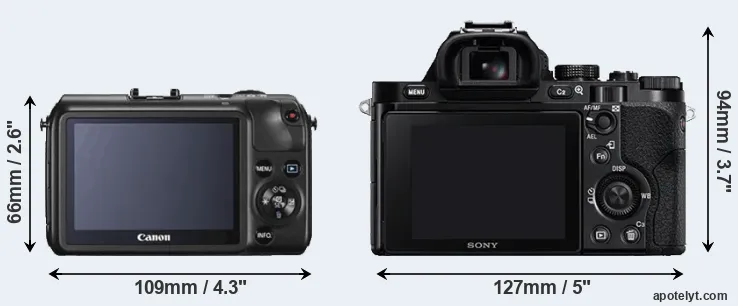 Comparison Canon M or A7 rear
