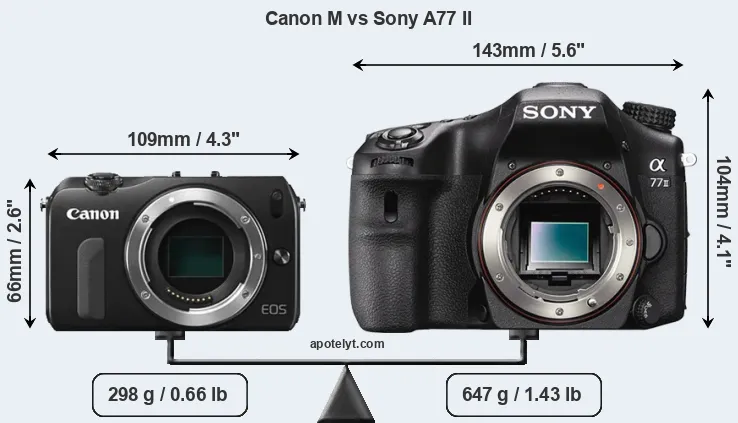 Size Canon M vs Sony A77 II