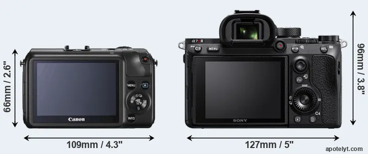 Comparison Canon M or A7R III rear