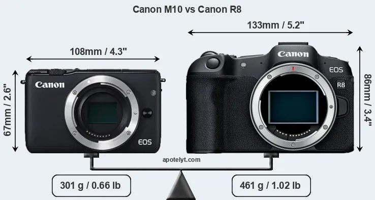 Size Canon M10 vs Canon R8