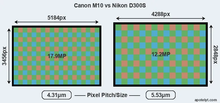 M10 versus D300S MP