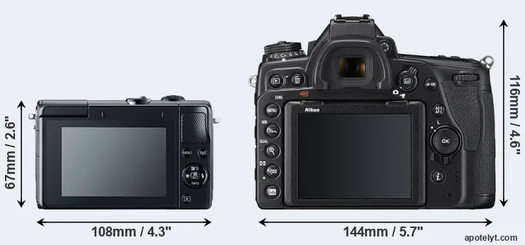 Comparison M100 or D780 rear