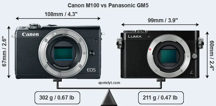 Size Canon M100 vs Panasonic GM5
