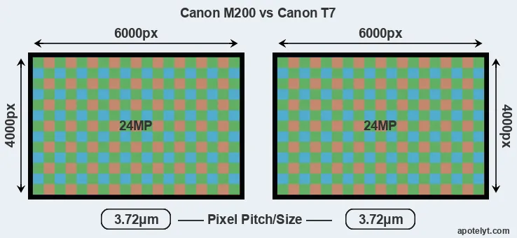 M200 versus T7 MP