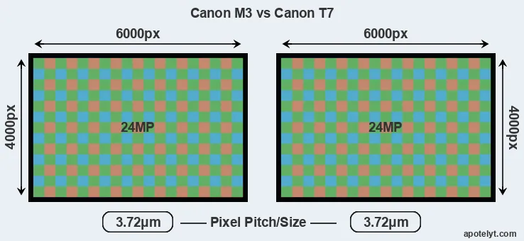 M3 versus T7 MP