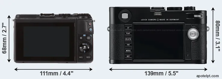 Comparison M3 or M Typ 240 rear