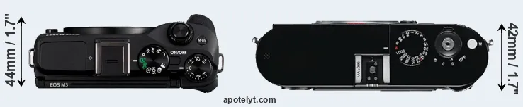 Compare M3 versus M Typ 240 top