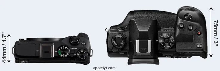 Compare M3 versus E-M1X top