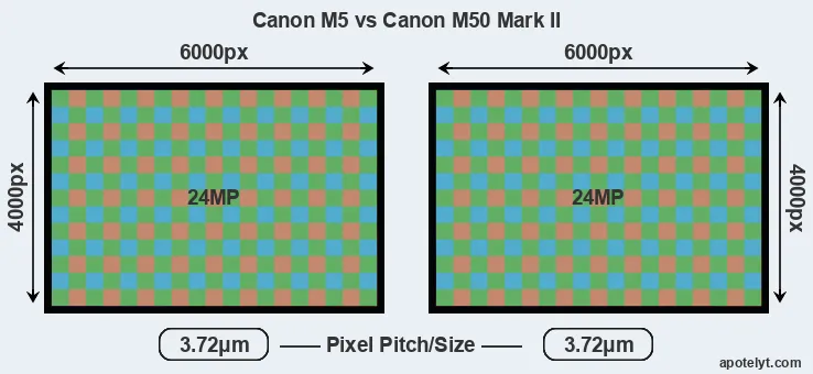 M5 versus M50 Mark II MP