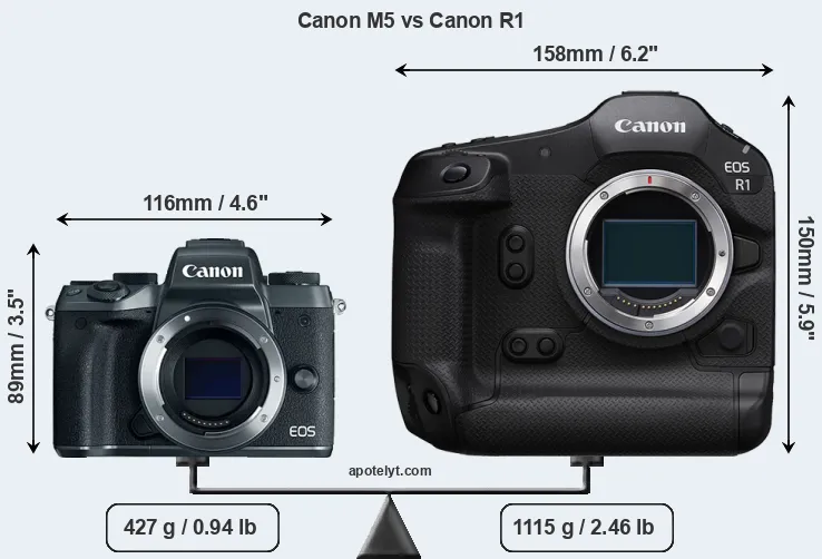 Size Canon M5 vs Canon R1