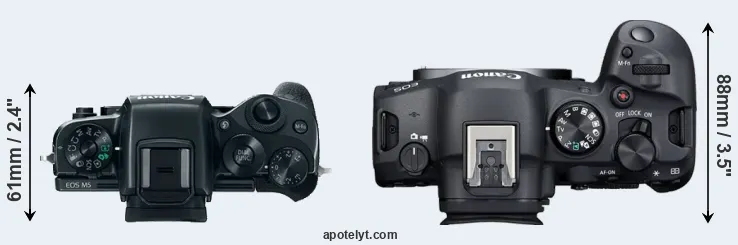 Compare M5 versus R6 Mark II top