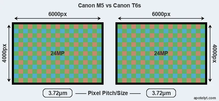 M5 versus T6s MP