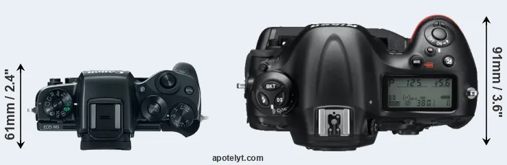 Compare M5 versus D4 top