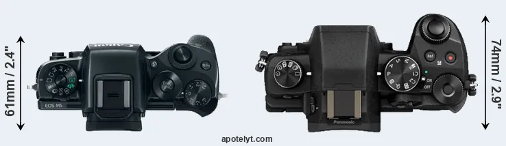 Compare M5 versus G80 top