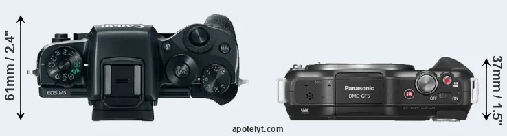 Compare M5 versus GF5 top