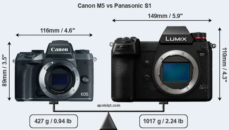 Size Canon M5 vs Panasonic S1