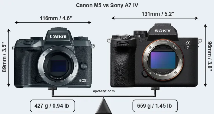 Size Canon M5 vs Sony A7 IV