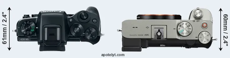 Compare M5 versus A7C top