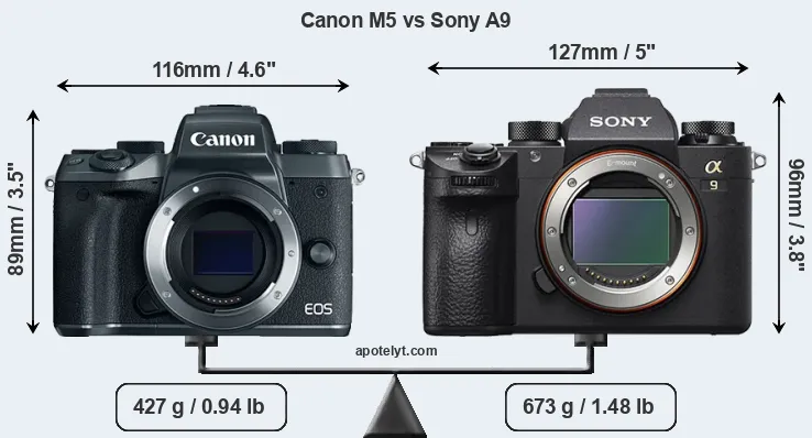 Size Canon M5 vs Sony A9