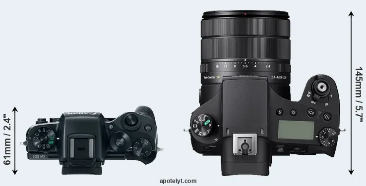 Compare M5 versus RX10 IV top