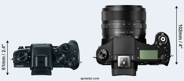 Compare M5 versus RX10 top