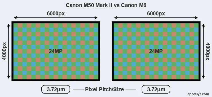 M50 Mark II versus M6 MP