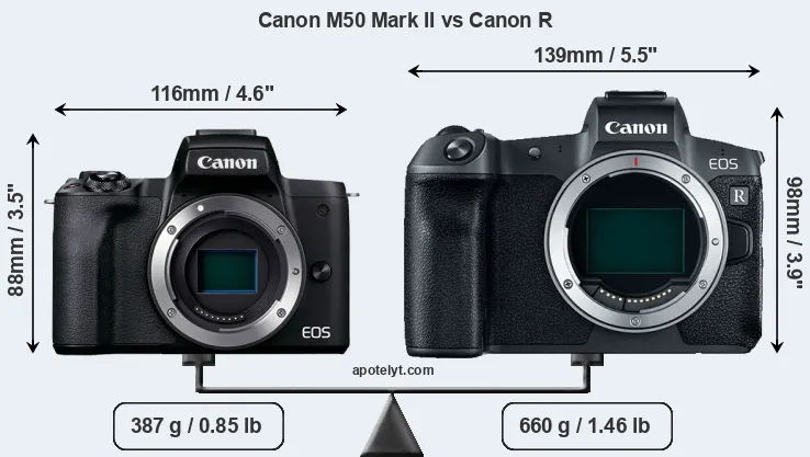 Size Canon M50 Mark II vs Canon R