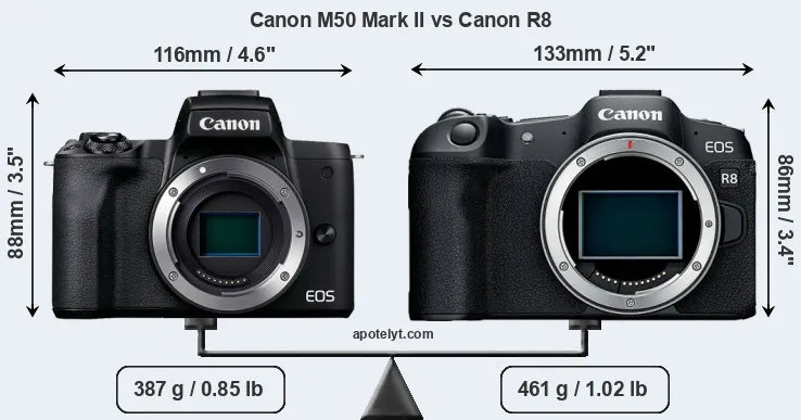 Size Canon M50 Mark II vs Canon R8