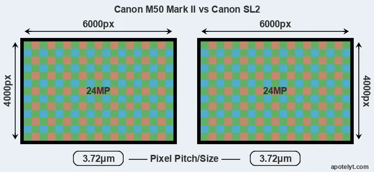 M50 Mark II versus SL2 MP