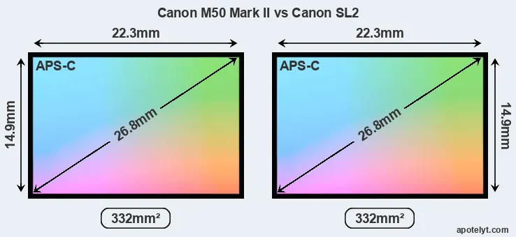 Canon M50 Mark II and Canon SL2 sensor measures