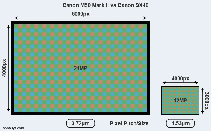 M50 Mark II versus SX40 MP