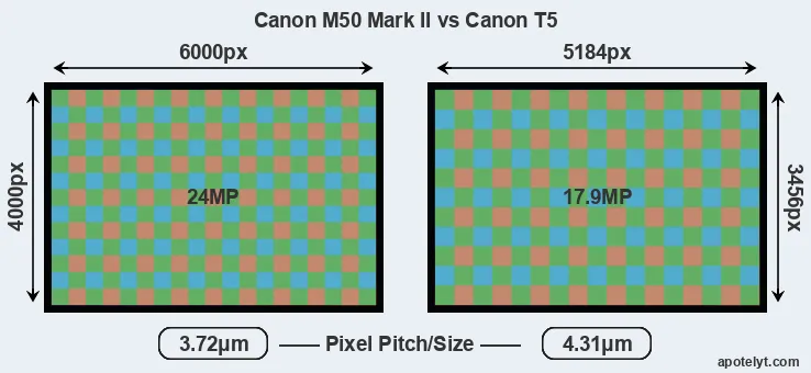 M50 Mark II versus T5 MP