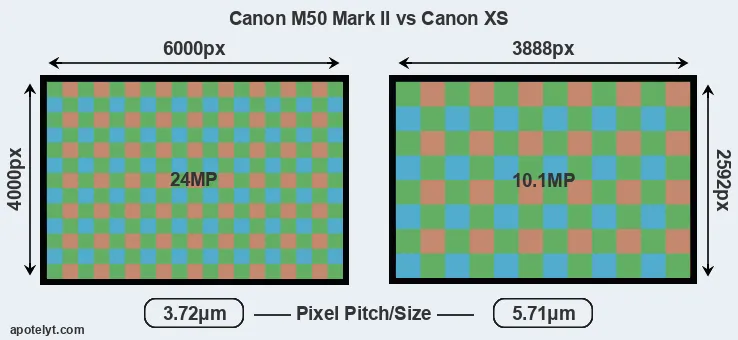 M50 Mark II versus XS MP