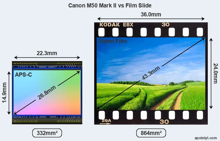 Canon M50 Mark II and Credit Card sensor measures