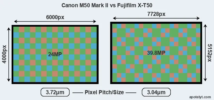 M50 Mark II versus X-T50 MP