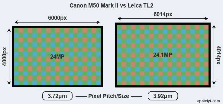 M50 Mark II versus TL2 MP