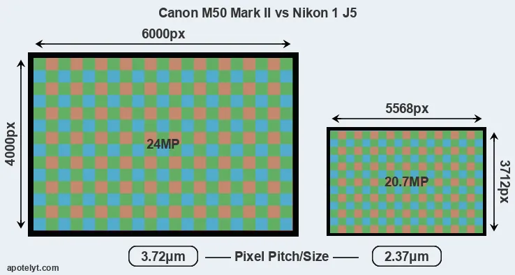M50 Mark II versus J5 MP
