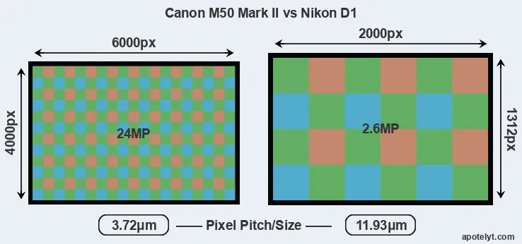 M50 Mark II versus D1 MP
