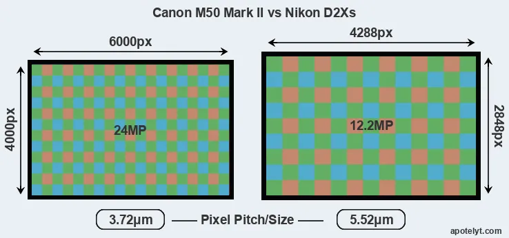 M50 Mark II versus D2Xs MP