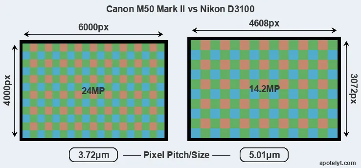 M50 Mark II versus D3100 MP