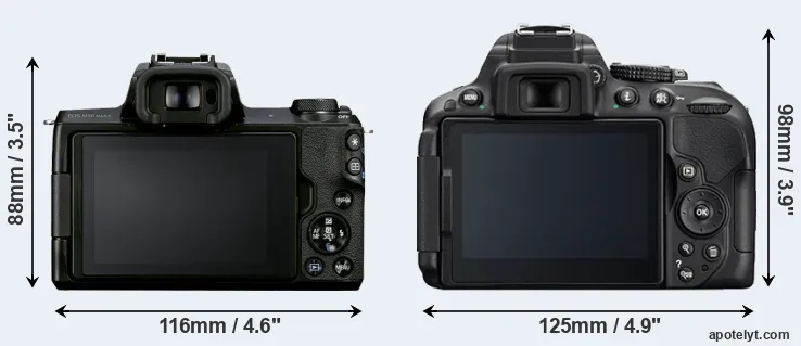 Comparison M50 Mark II or D5300 rear
