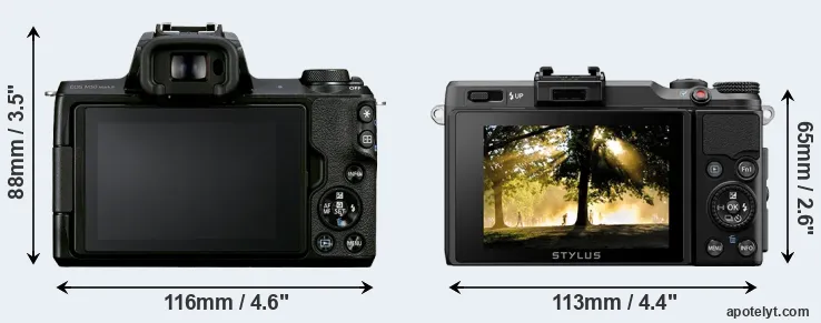 Comparison M50 Mark II or XZ-2 rear
