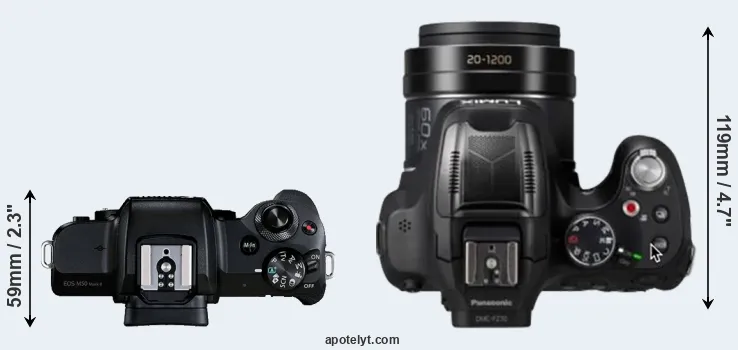 Compare M50 Mark II versus FZ80D top